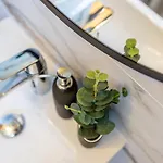 Smelynas Boutique & Appartamento Palanga