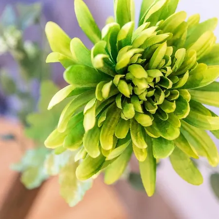 公寓 Smelynas Boutique & *