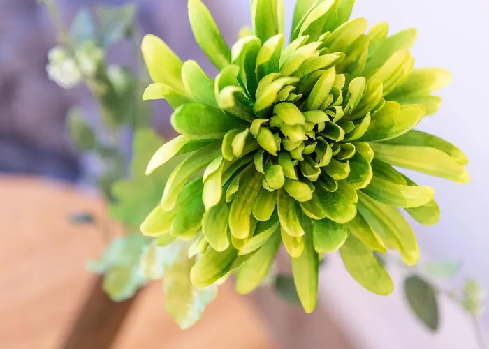 Apartman Smelynas Boutique & *